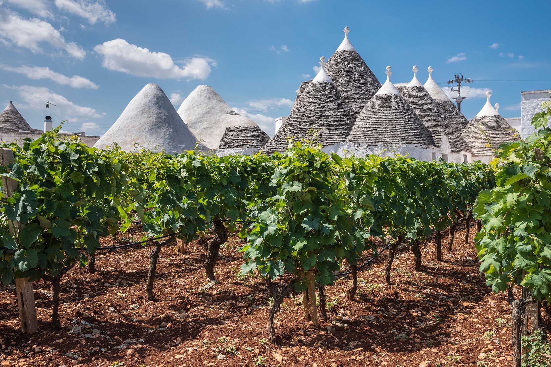 Giới thiệu về vùng Puglia