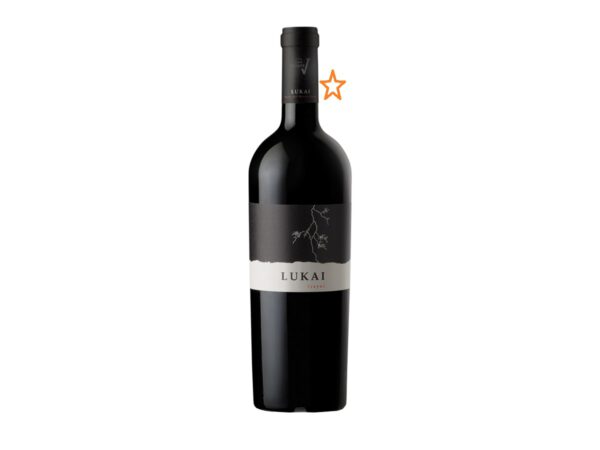 San V Lukai Cabernet Sauvignon, Cajade Madera (limited edition) - 14% - 2015 - Vang Chile