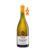 Moillard Bourgogne Chardonnay Eleve En Futs - 12.5% - Vang Pháp