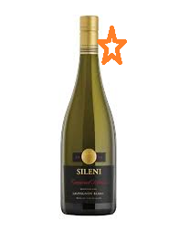 SILENI Exceptional Selection Sauvignon Blanc – 13% – Vang New Zealand