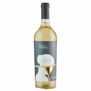 VILLA ANGELA IGT PASSERINA - 13.5% - Vang Ý