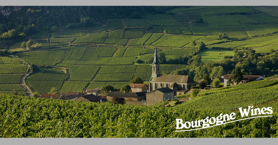 Giới thiệu về vùng Burgundy