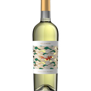 Pecorino Offida VILLA ANGELA DOCG - 13% - 2022 - Vang Ý